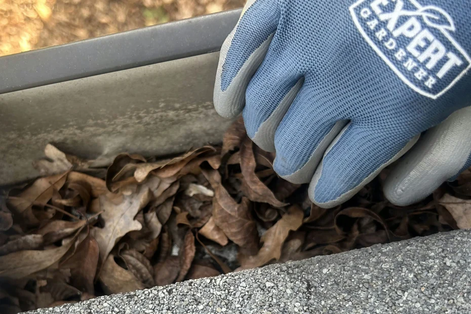 Gutter Cleaning Winston-Salem